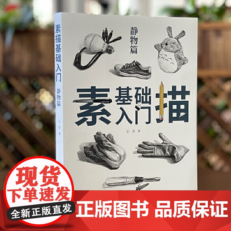 素描基础入门 静物篇高清大图