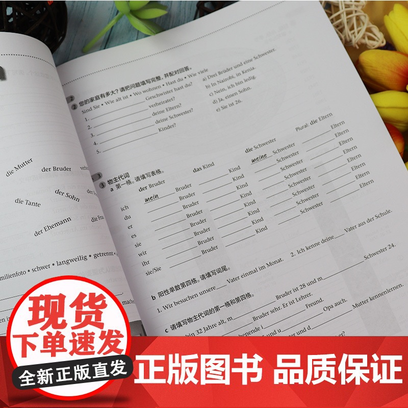 柏林广场A1德语强化练习 克里斯蒂娜·蕾迈克编 欧标德语经典练习 提升阅读听力理解书面口头表达 提高学习德语能力同济大学高清大图