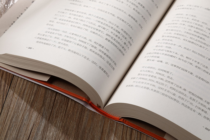 [正版]燕食记葛亮著2023年第十一届茅盾文学奖十强2022中国好书岭南文化长篇小说广州香港美食民国肖战历史小说家国饮高清大图