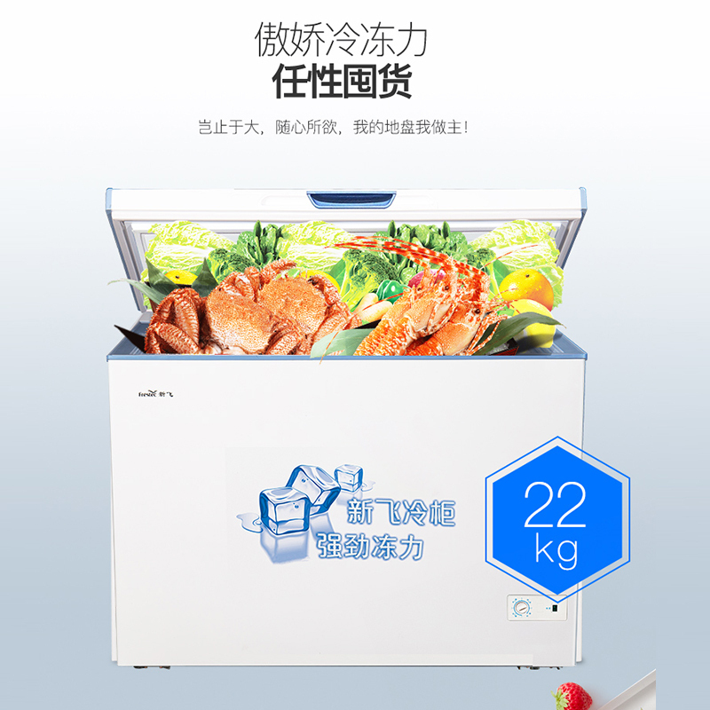 新飞(Frestec) 300升 商用单温冰柜 顶开门 单箱变温冰箱 冷藏冷冻冷柜 BC/BD-300KHAT