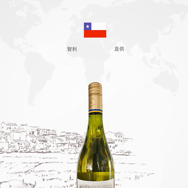 2瓶智利原瓶进口拉菲霞多丽干白葡萄酒750ml/瓶高清大图