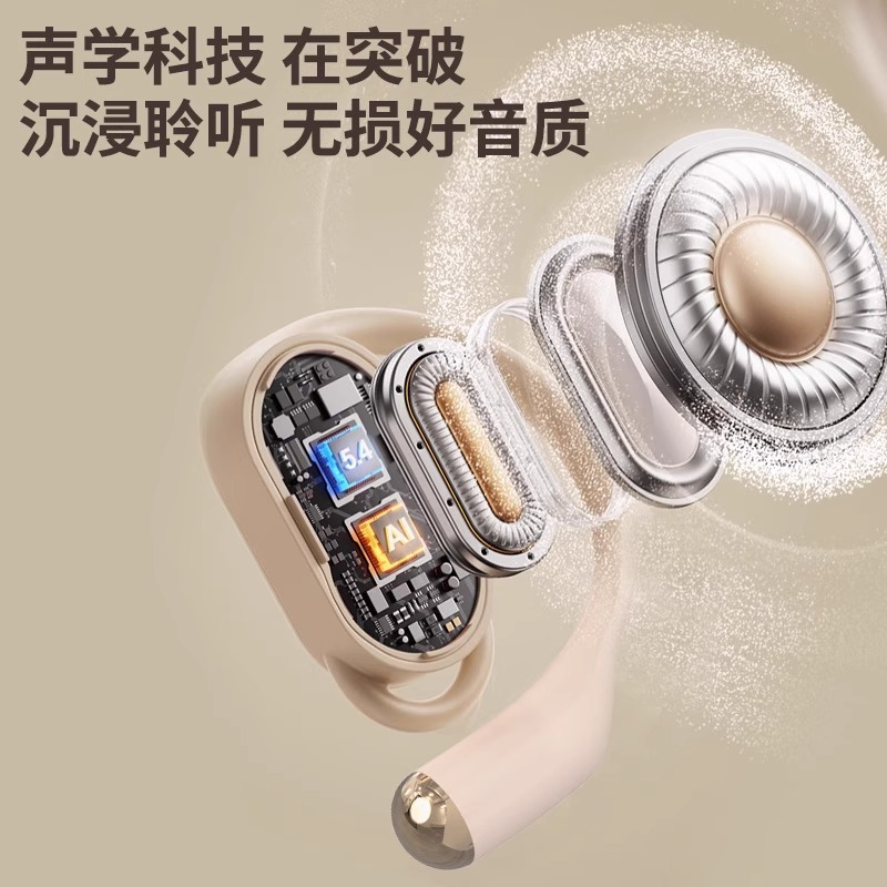 纽曼(Newsmy) LY50无线蓝牙耳机挂耳式翻译同声传译AI智能超长续航降噪通用