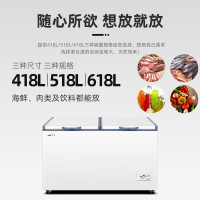 [预售,到货发货]新飞618升大容量冰柜商用冷藏冷冻两用冰柜冷柜单温冷冻柜家用节能卧式大冷柜BC/BD-618KHCT