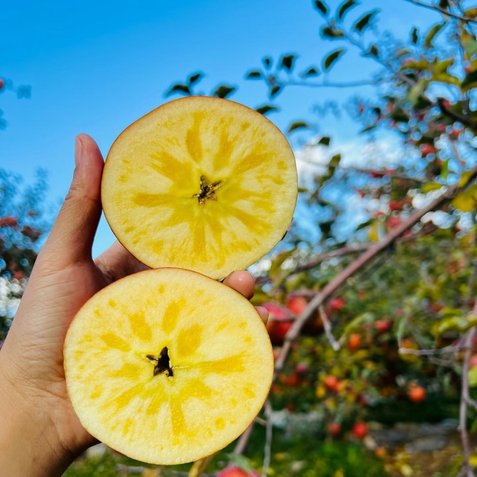 三峡高山果园基地冰糖心苹果8斤大果80-85MM/箱高清大图