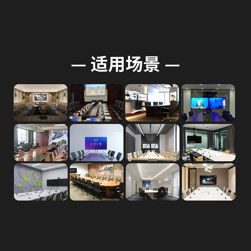 润普Runpu RP-YPN868 国产化音频会议扩声系统话筒智能自动混音器带反馈抑制器功能高清大图