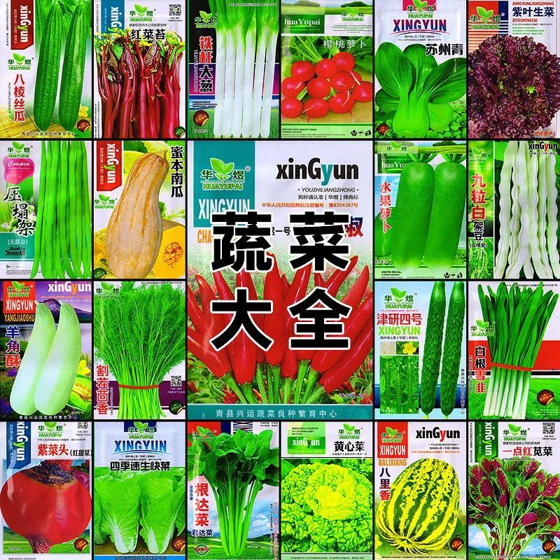 [补贴10%]蔬菜种子四季播种阳台农家盆栽香菜菠菜生菜韭菜小葱草莓籽孑大全图片