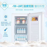 Haier/海尔立式侧开门冰柜家用82升一级能效抽屉式冷柜迷你冷家用小冰柜节能省电