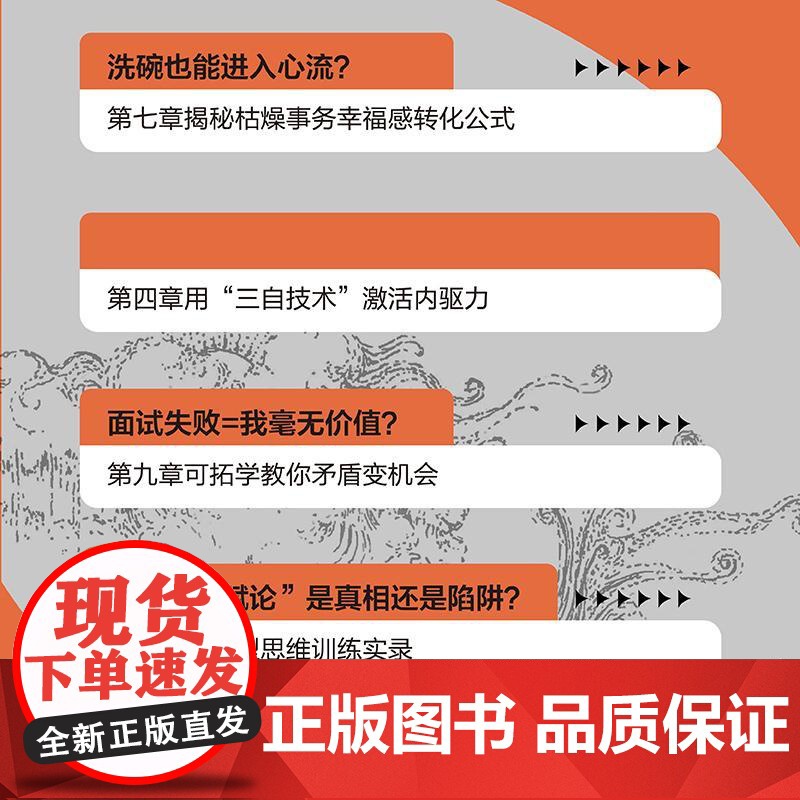 积极心力 许宗诺 积极心理学书籍心流成长型思维心智模型心理咨询高清大图