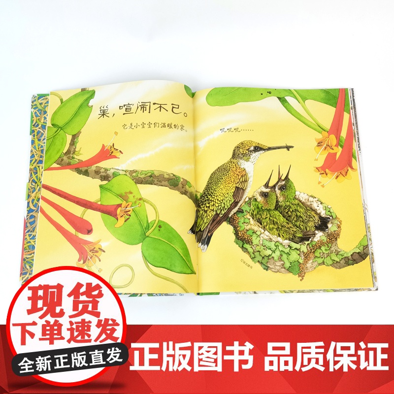 《巢,如此喧闹》2024百班千人二年级暑假阅读小学生课外阅读书籍9-12岁儿童文学小说正版二三四年级青少年儿童文学成长图高清大图