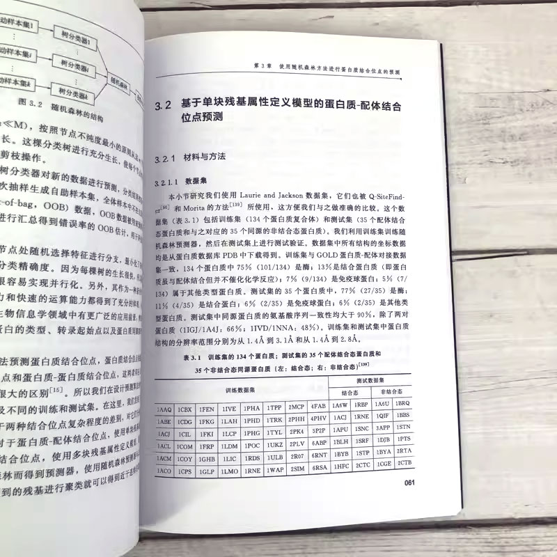 [正版]蛋白质结合位点预测及辅助分子对接 邱智军 化学工业出版社 蛋白质结构与功能 受体相互作用原理 专业书籍高清大图