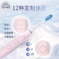 飞利浦(Philips) 电动牙刷成人送礼物男/女 声波震动 10倍清除牙菌斑 2支刷头 星钻ProHX9912黑色