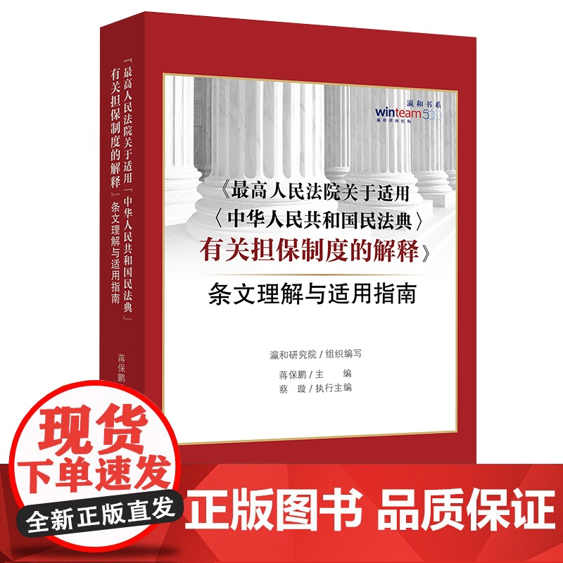 最高人民法院关于适用中华人民共和国民法典有关担保制度的解释条文理解与适用指南 新民法典担保制度司法实务高清大图
