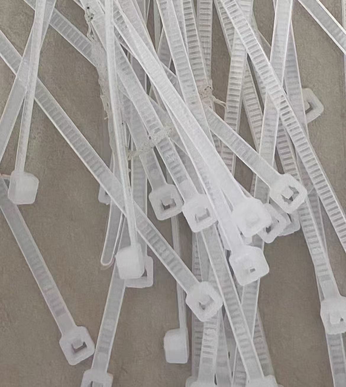 顺鸿森尼龙扎带 8*300mm 100根/包高清大图