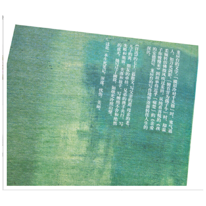 天星 《目送》