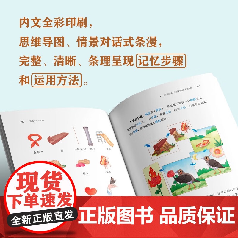 高效学习记忆法 卢菲菲 著 励志与成功高清大图