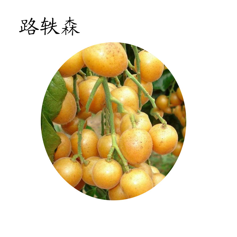 路轶森 黄皮树 120-150cm 根高清大图