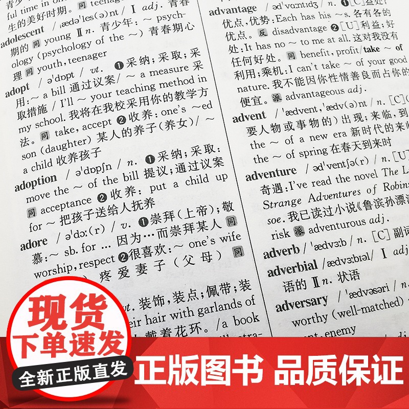 英汉汉英词典(全新版)高清大图