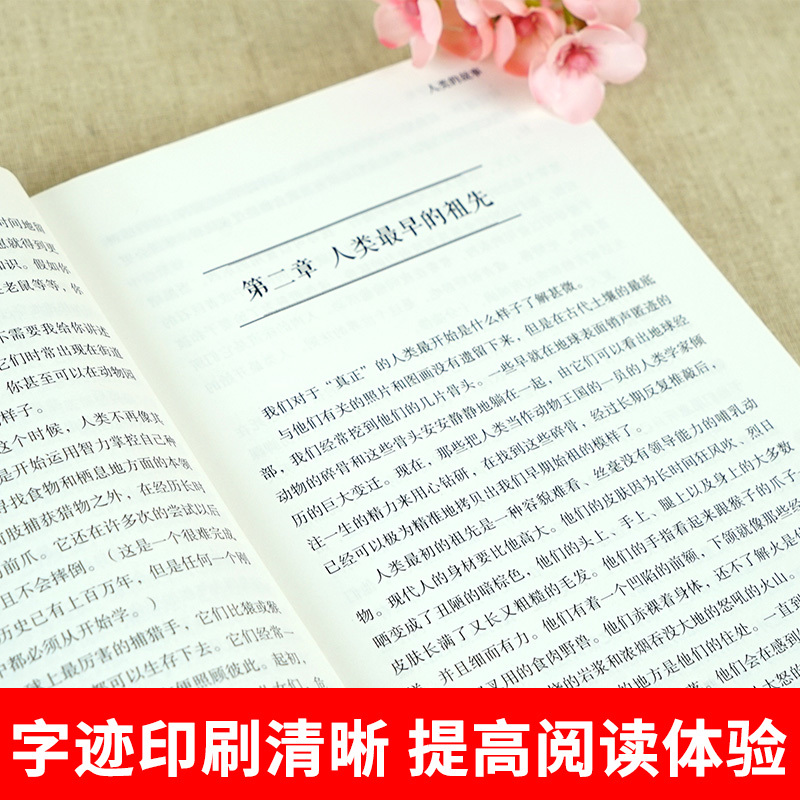 [盒装3套全32册]盒装纽伯瑞+盒装当代获奖儿童文学 [正版]纽伯瑞国际儿童文学金奖小说系列全套12册中小学生三四五六年