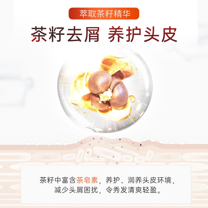 滋源(seeyoung) 男士 茶籽控油去屑 535ml 洗头水 (计价单位:瓶)高清大图