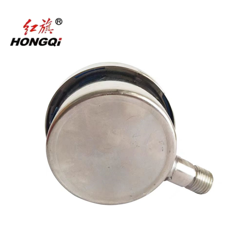 红旗 不锈钢耐震压力表定制检测款Y60BF(备注压力值)块高清大图