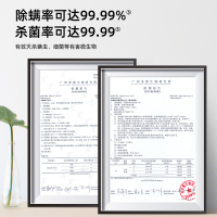 英国倍科(BEKO)无线家用床上紫外线杀菌除螨仪 床铺手持除螨吸尘器 DRUP 30014 W