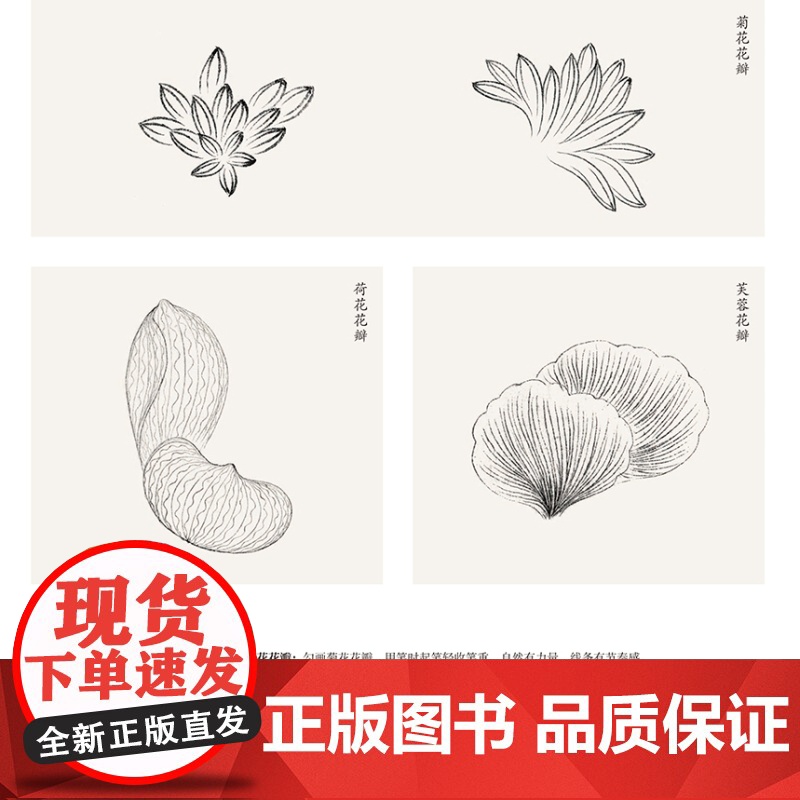 正版 恽寿平百花图卷课徒稿 历代书画名作临摹课徒稿丛书 课徒稿临本 绘画基础 学绘画入门参考书籍 上海人民美术出版社高清大图