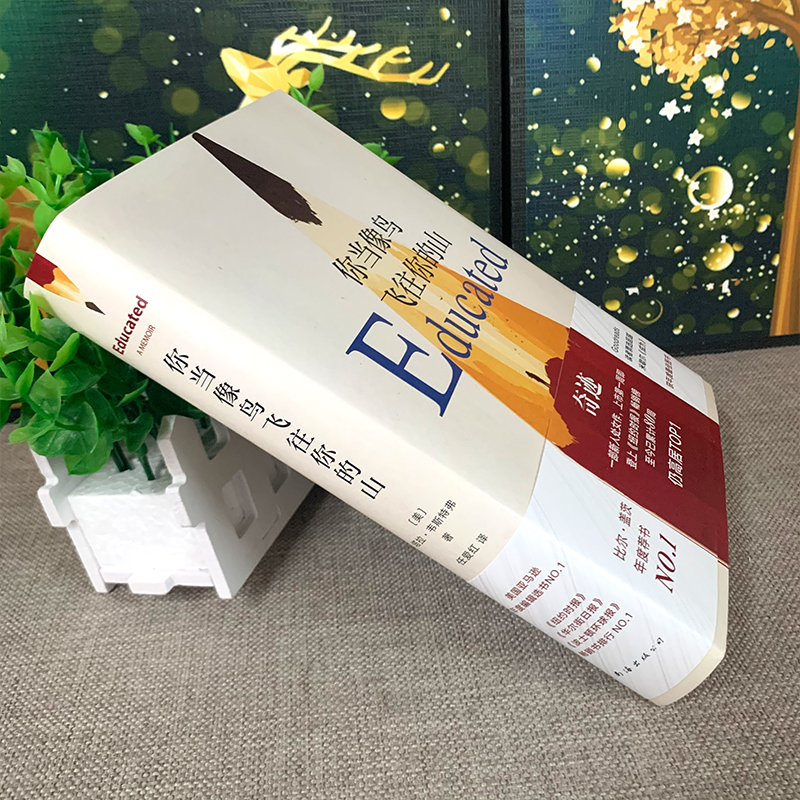 你当像鸟飞往你的山中文版正版 塔拉韦斯特弗 经典外国文学 我当你像鸟一样飞往你的山你当像鸟飞过山飞往那座山你当象鸟飞向高清大图