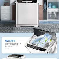 志高 全自动家用洗衣机 XQB75-5A508A