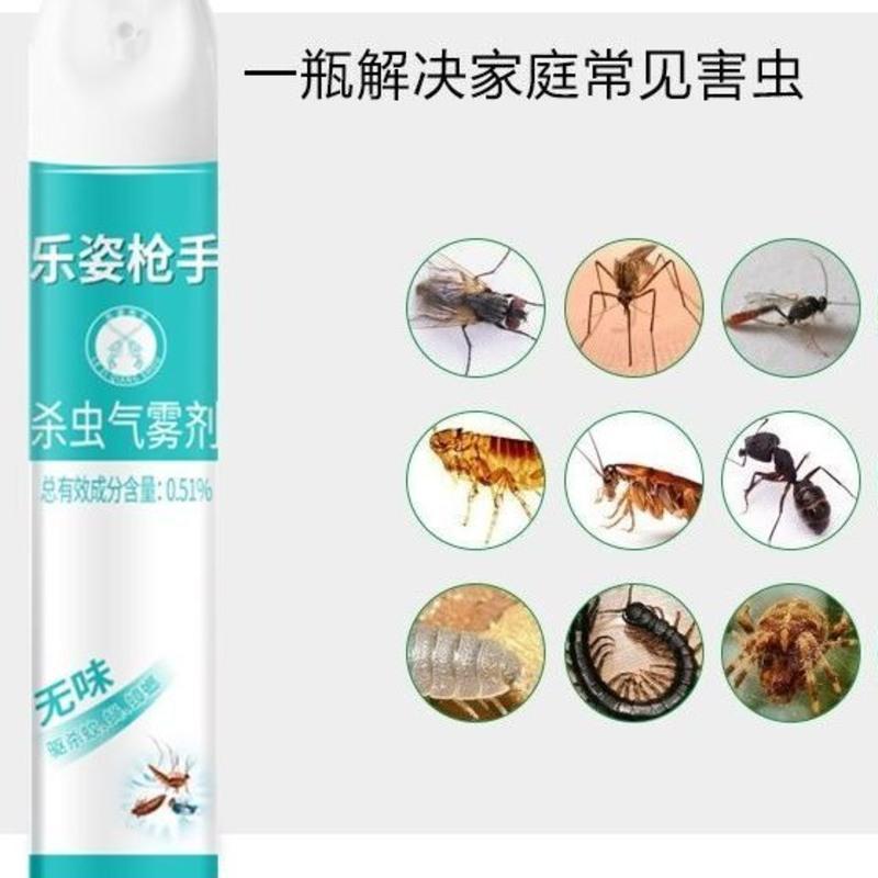 杀虫剂家用灭蚊子苍蝇喷雾剂驱蟑螂蚂蚁飞潮虫百害灵气雾剂批发 1瓶[普通效果款]