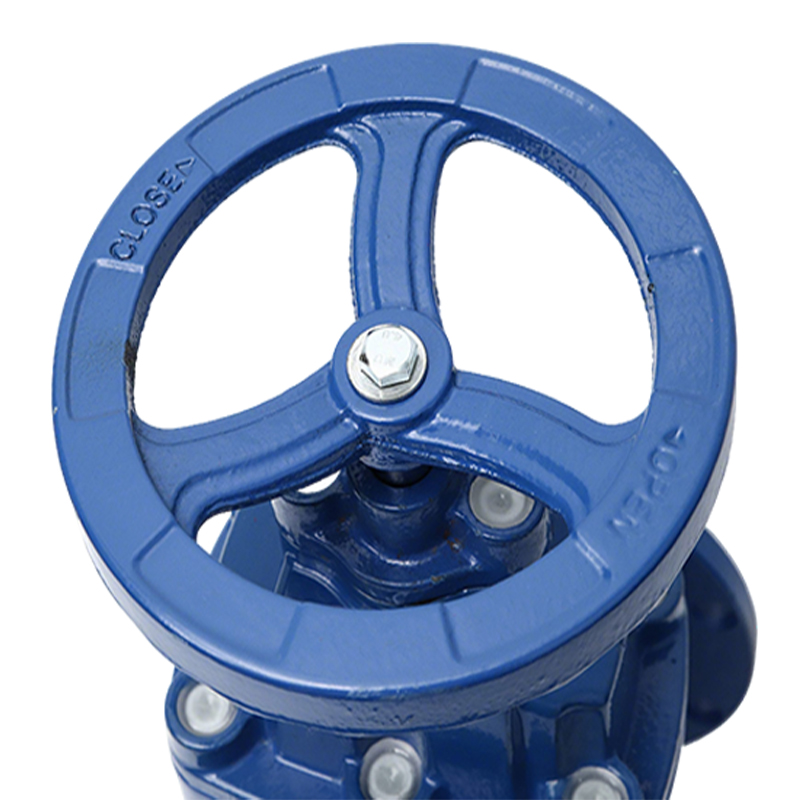 卡西斯顿 球墨铸铁闸阀 DN65 个高清大图