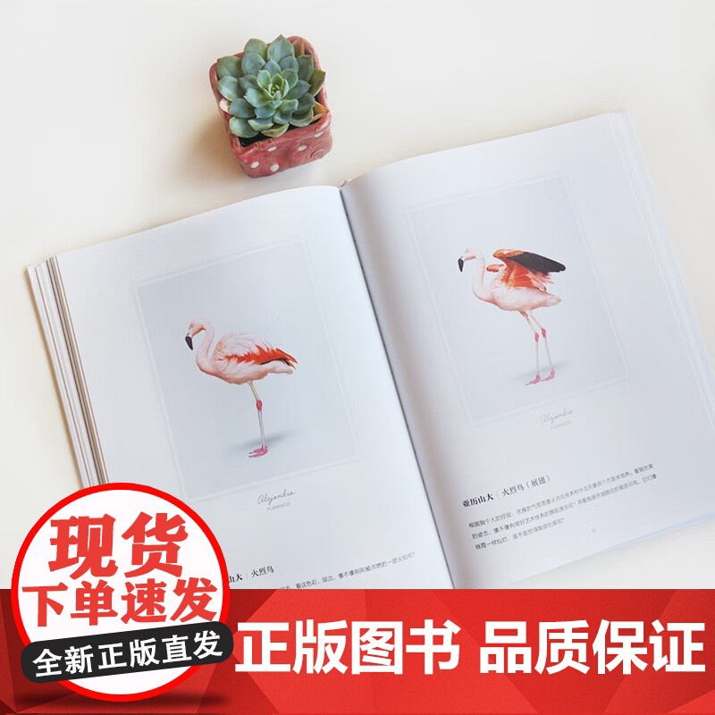 [央视网]我的动物萌友 9787514388589 现代出版社 XD高清大图