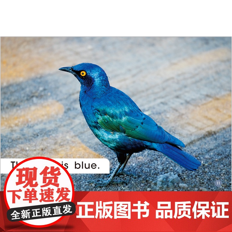 [外研社]多维阅读预备级上高清大图