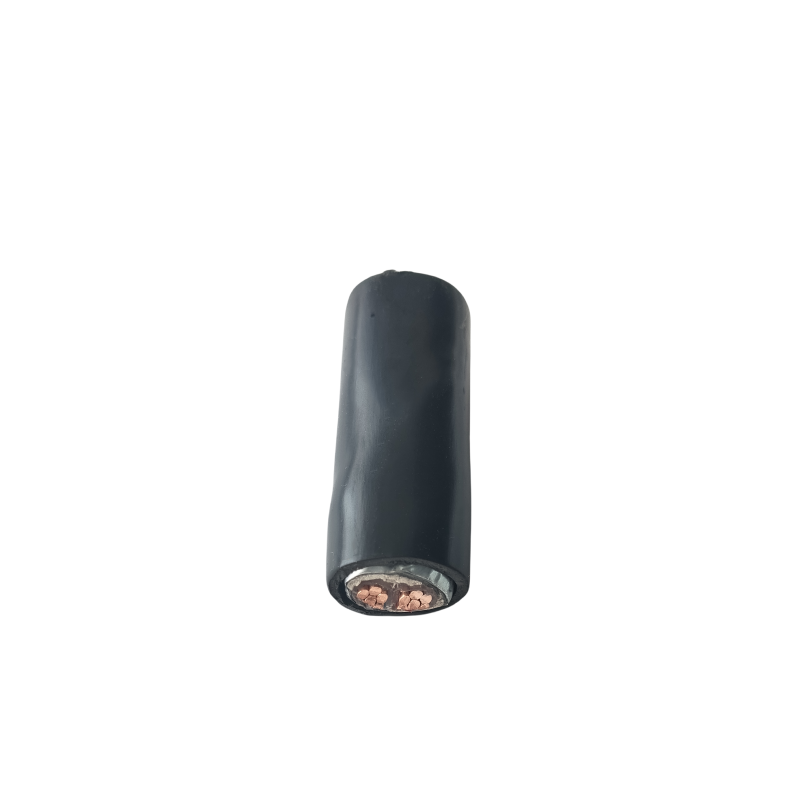 津达线缆 钢带铠装电力电缆电压0.6/1kv YJV22-2*10mm² 米高清大图