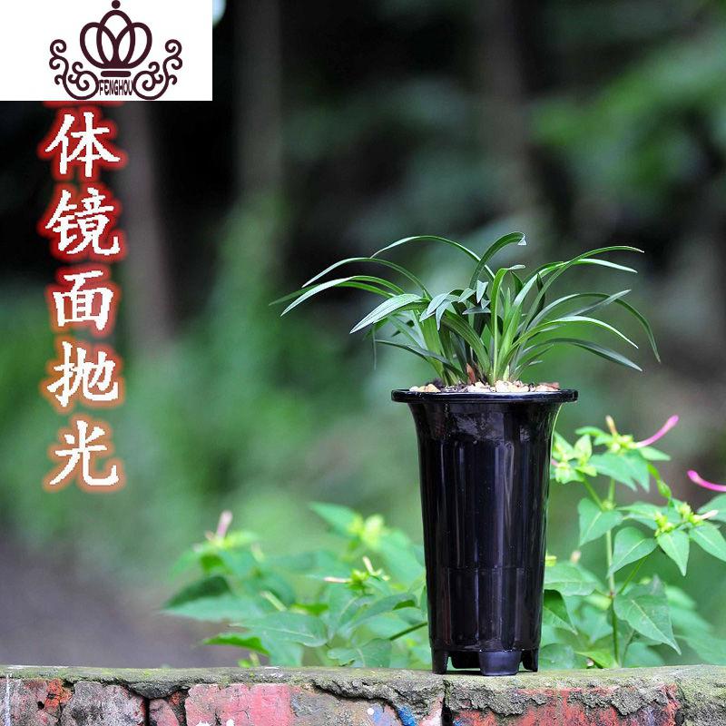 封后兰花盆透气罩疏水罩全新料树脂镜面抛光兰花专用盆5个起大号新盆10个全新料花盆容器图片 高清实拍大图 苏宁易购