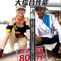 佳钓尼(JIADIAONI)2020新款鱼竿手杆鱼杆钓鱼竿手竿综合竿超硬4.5米渔具