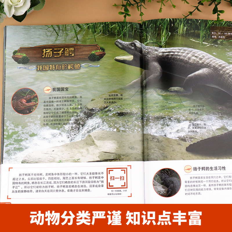 [醉染正版]动物大百科 动物百科全书儿童趣味阅读7一10-12岁小学生课外阅读书籍科普读物非dk认知绘本揭秘动物认知书生高清大图