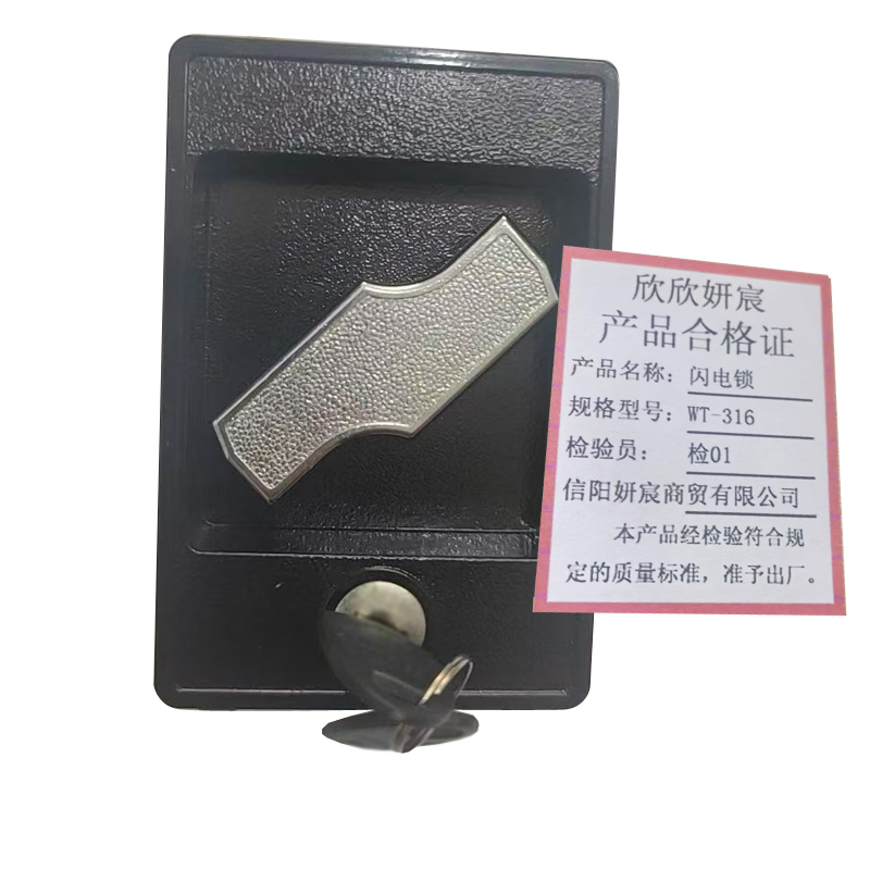 欣欣妍宸 闪电锁 WT-316/个高清大图