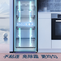 澳柯玛(AUCMA) 192升立式冷柜 冰柜冰箱 家用黄金容量 -40度深冷缩鲜 变频风冷一级节能 BD-192WPHS