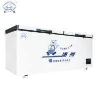 冰熊(bing xiong)798升冷柜商用大展示柜 卧式大冰库冷柜 冷藏冷冻转换柜 顶开门冰柜 BC/BD-798
