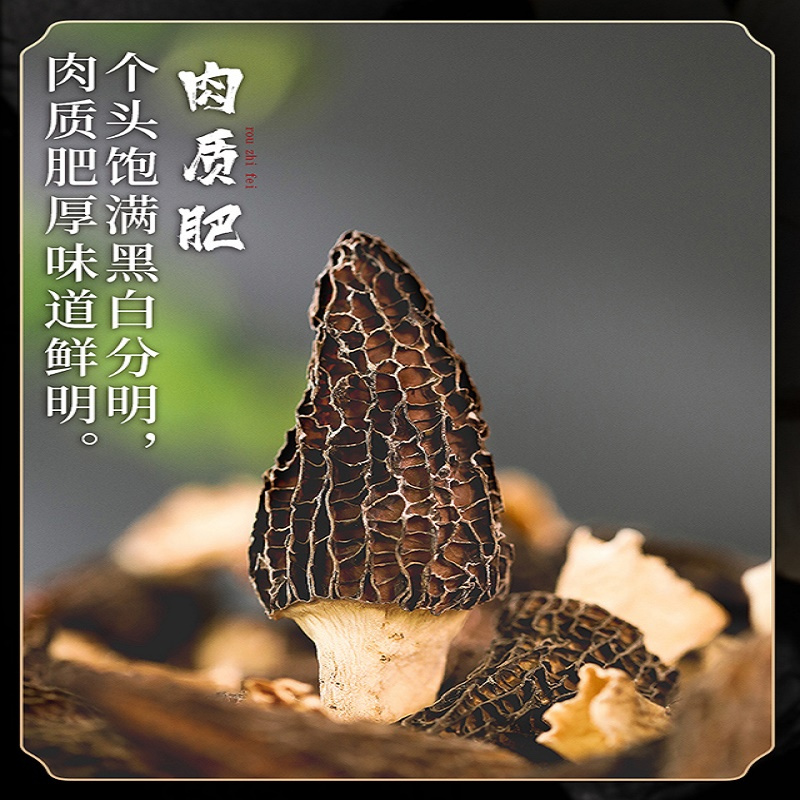 怀慈堂特级新鲜羊肚菌去柄西藏特产 礼盒装2015