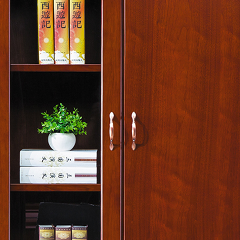 臻远ZY051409木质文件柜油漆贴木皮资料柜书柜 二门高清大图