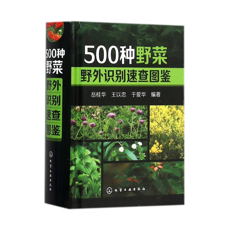 [醉染正版]正版 500种野菜野外识别速查图鉴 生活百科书籍 野生植物花草识别图解书籍 认识身边常见植物介绍书 植高清大图