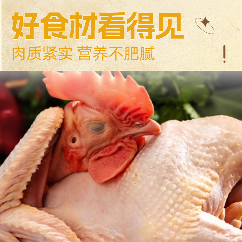 [苏鲜生推荐]三物纪 皖南黄油老母鸡2.6-2.9斤/只 1只装 新鲜现杀冷冻净膛慢养走地鸡高清大图