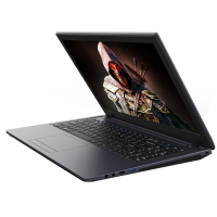 炫龙(shinelon)DC2畅玩版 15.6英寸游戏本学生笔记本电脑(G5400 8GB 1TB GTX1050 4G独显 IPS)