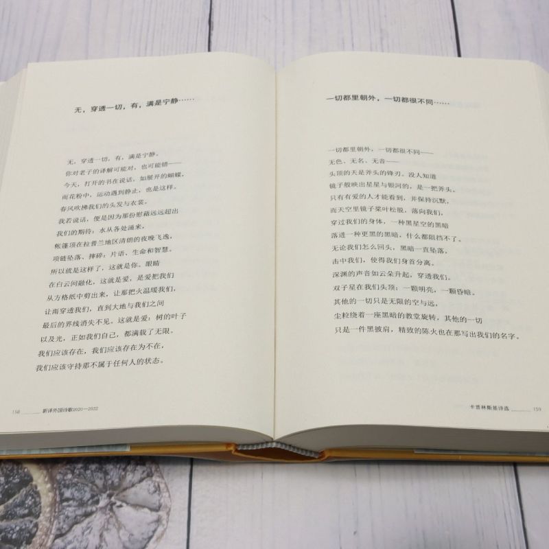 新译外国诗歌:2020-2022 [正版]新译外国诗歌:2020-2022高清大图