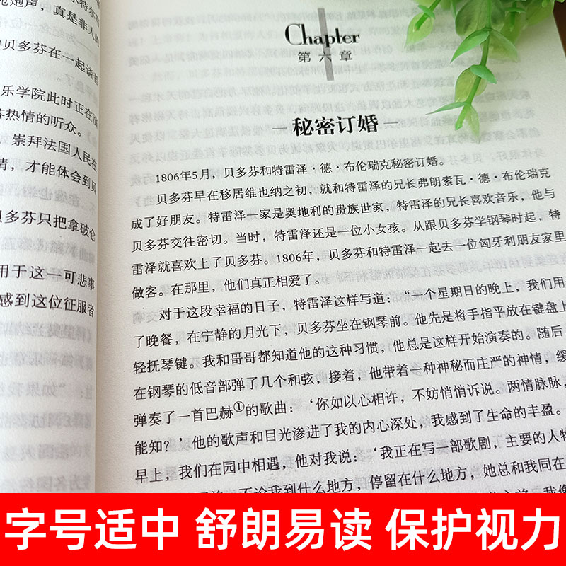 世界经典 文学名著[名人传] [正版]名人传(名家名译)/世界经典文学名著中国外国小说儿童青少年读物三四五六七八年级初中高清大图