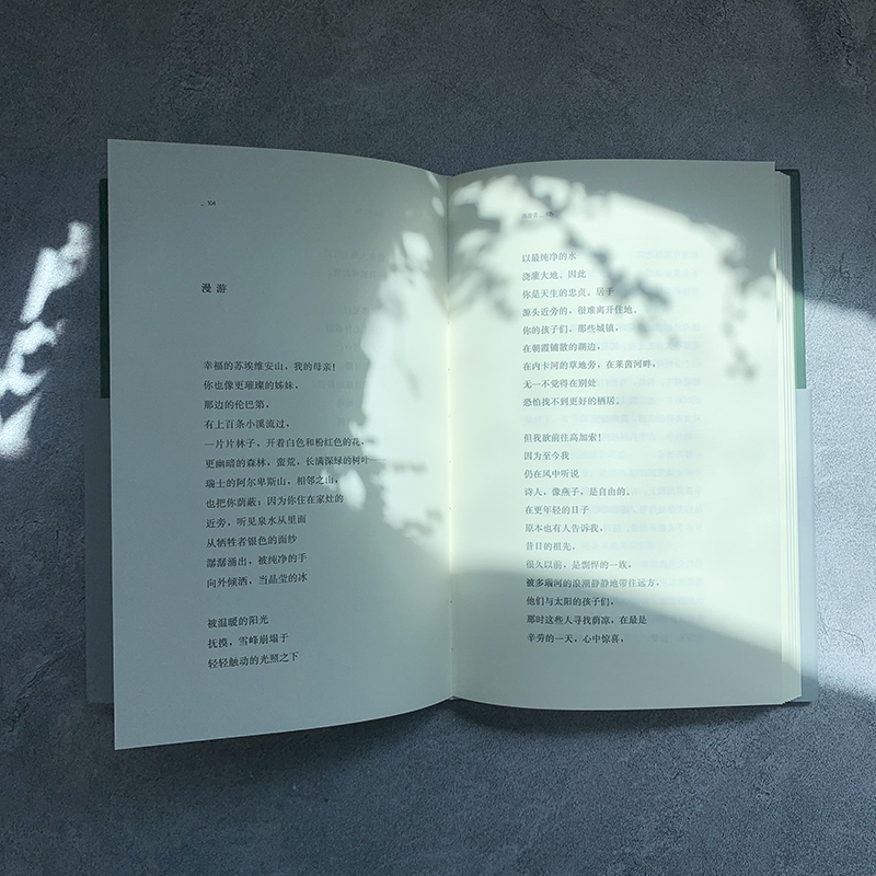 浪游者 [正版]书籍 浪游者 巴别塔诗典系列精装本 经典诗歌经典翻译 荷尔德林各时期代表作 德语翻译家林克翻译 外国诗歌高清大图