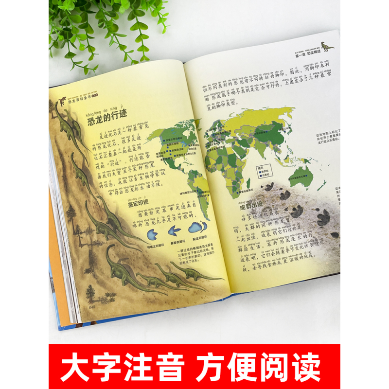 [精装3册]恐龙+动物+植物百科全书 [正版]硬壳彩图注音 恐龙百科全书少儿 恐龙大百科 适合男孩的读物 一二三年级课外