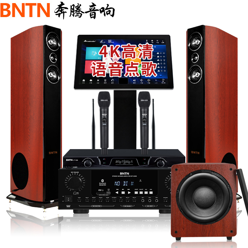 奔腾(BNTN)套装家庭影院专业会议KTV音响2.1全套卡拉OK点歌机触屏电视落地音箱8200配新贵音箱低音炮套装
