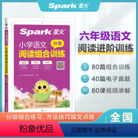 小学语文分级阅读组合训练 小学六年级 [正版]星火小学语文分级阅读组合训练六年级年级阅读理解专项训练书每日一练课外强化练